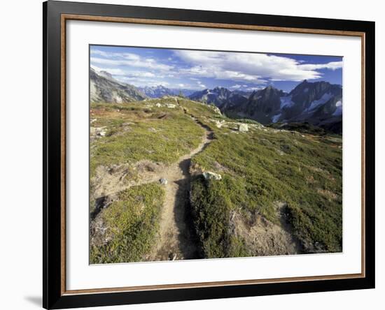 Sahale Peak Trail, North Cascade National Park, Washington, USA-William Sutton-Framed Photographic Print