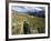 Sahale Peak Trail, North Cascade National Park, Washington, USA-William Sutton-Framed Photographic Print