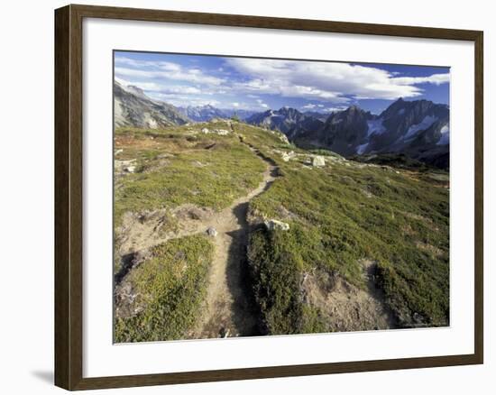 Sahale Peak Trail, North Cascade National Park, Washington, USA-William Sutton-Framed Photographic Print