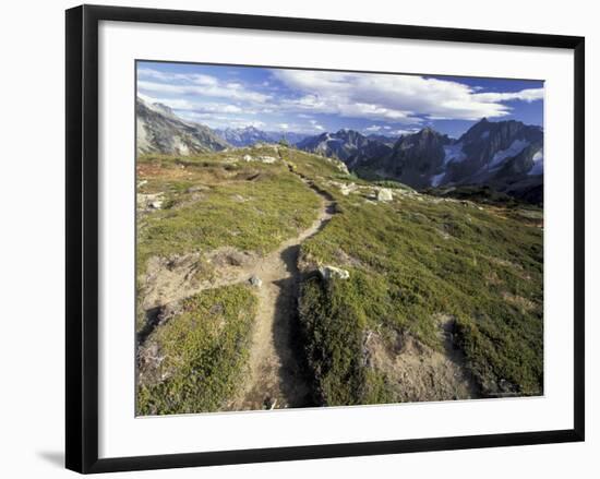Sahale Peak Trail, North Cascade National Park, Washington, USA-William Sutton-Framed Photographic Print