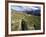 Sahale Peak Trail, North Cascade National Park, Washington, USA-William Sutton-Framed Photographic Print