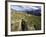 Sahale Peak Trail, North Cascade National Park, Washington, USA-William Sutton-Framed Photographic Print