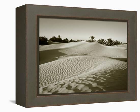 Sahara Desert, Douz,Tunisia-Jon Arnold-Framed Premier Image Canvas