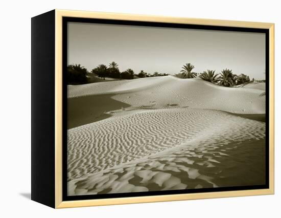 Sahara Desert, Douz,Tunisia-Jon Arnold-Framed Premier Image Canvas