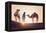 Sahara Desert, Morocco. Silhouette on the Dunes at Sunset.-Marco Bottigelli-Framed Premier Image Canvas