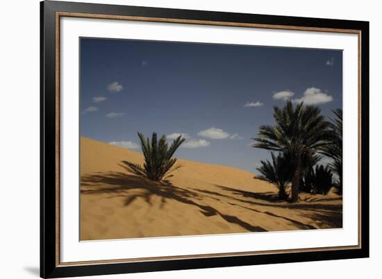 Sahara Iii-Tony Koukos-Framed Giclee Print
