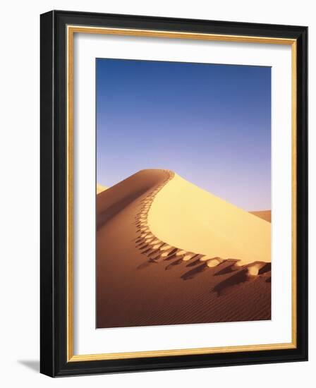 Sahara, Sand Dune, Footprints-Thonig-Framed Photographic Print