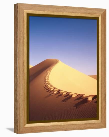 Sahara, Sand Dune, Footprints-Thonig-Framed Premier Image Canvas