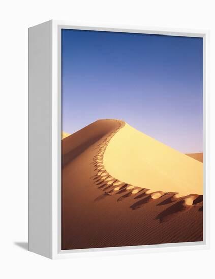 Sahara, Sand Dune, Footprints-Thonig-Framed Premier Image Canvas