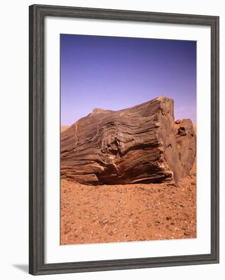 Sahara, Trunk, Wood, Fossil, Desert Sand-Thonig-Framed Photographic Print