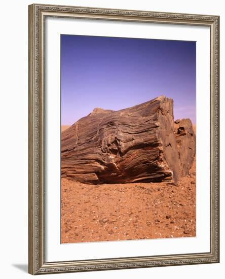 Sahara, Trunk, Wood, Fossil, Desert Sand-Thonig-Framed Photographic Print