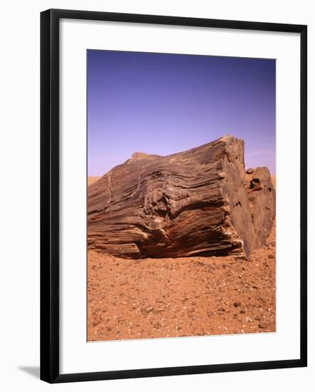 Sahara, Trunk, Wood, Fossil, Desert Sand-Thonig-Framed Photographic Print