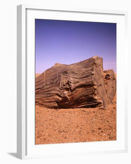 Sahara, Trunk, Wood, Fossil, Desert Sand-Thonig-Framed Photographic Print