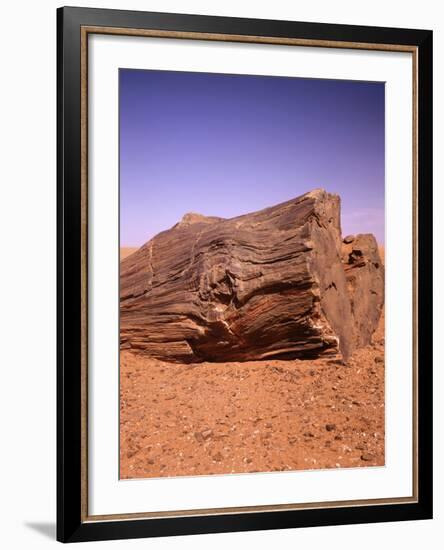 Sahara, Trunk, Wood, Fossil, Desert Sand-Thonig-Framed Photographic Print