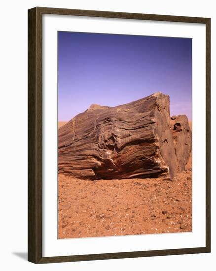 Sahara, Trunk, Wood, Fossil, Desert Sand-Thonig-Framed Photographic Print