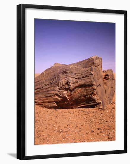 Sahara, Trunk, Wood, Fossil, Desert Sand-Thonig-Framed Photographic Print