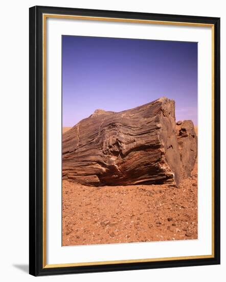 Sahara, Trunk, Wood, Fossil, Desert Sand-Thonig-Framed Photographic Print