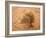 Sahara, Wadi, Plant, Zilla Spinosa-Thonig-Framed Photographic Print