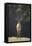 Saharan Dorcas Gazelle-DLILLC-Framed Premier Image Canvas