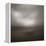 Saharan Dream-Doug Chinnery-Framed Premier Image Canvas