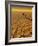 Saharan Journey, 1995-Tilly Willis-Framed Giclee Print