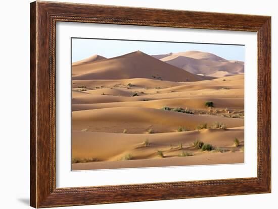 Saharan Sand Dunes-Bob Gibbons-Framed Photographic Print