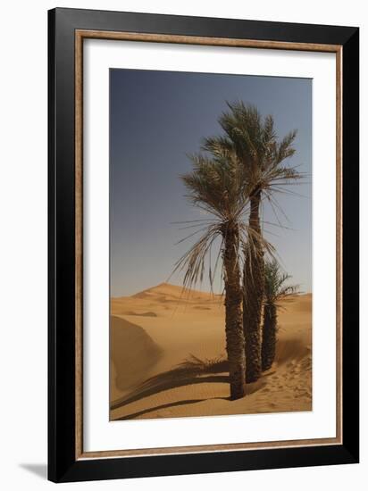 Saharan Scene-Tony Koukos-Framed Giclee Print