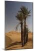 Saharan Scene-Tony Koukos-Mounted Giclee Print