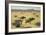 Sahelian Landscape, Mali, 1991-Tilly Willis-Framed Giclee Print