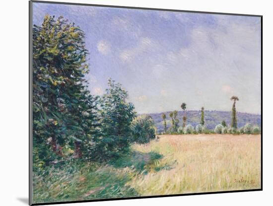 Sahurs Meadows in Morning Sun, 1894-Alfred Sisley-Mounted Giclee Print