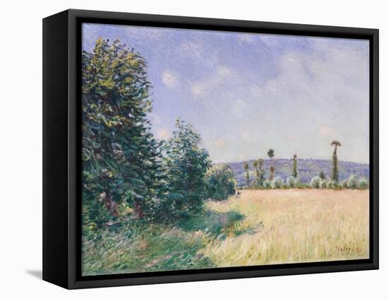 Sahurs Meadows in Morning Sun, 1894-Alfred Sisley-Framed Premier Image Canvas