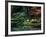 Saiho-Ji Garden in Autumn, Kyoto, Japan-Frank Carter-Framed Photographic Print