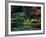 Saiho-Ji Garden in Autumn, Kyoto, Japan-Frank Carter-Framed Photographic Print