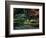 Saiho-Ji Garden in Autumn, Kyoto, Japan-Frank Carter-Framed Photographic Print