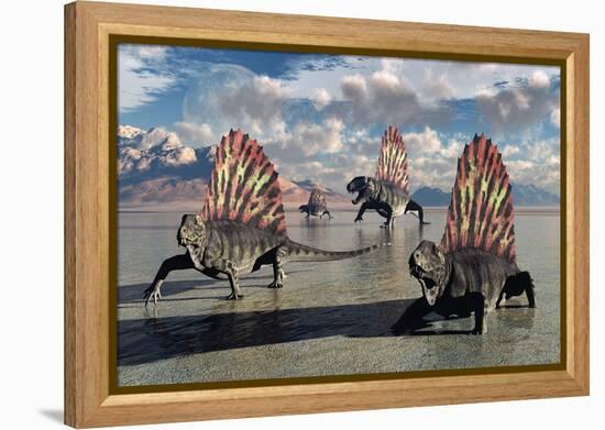 Sail-Backed Dimetrodons, Alive During Earth's Permian Period of Time-null-Framed Stretched Canvas