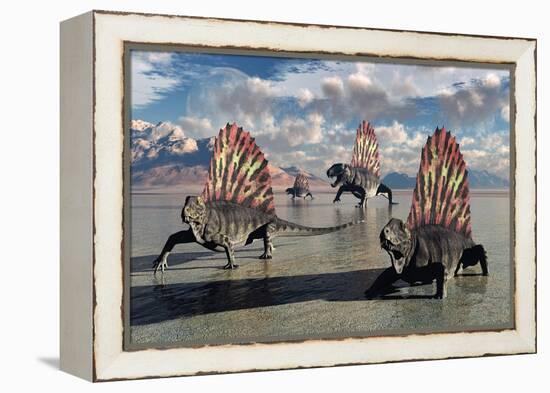 Sail-Backed Dimetrodons, Alive During Earth's Permian Period of Time-null-Framed Stretched Canvas