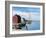 Sail Boat Rockport-Bruce Dumas-Framed Giclee Print