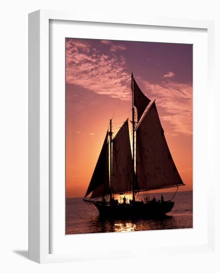 Sailboat at Sunset, Key West's Old Town Harbour, Florida Keys, Florida, USA-Greg Johnston-Framed Photographic Print