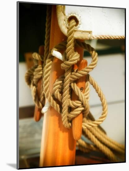 Sailboat cleat-Savanah Plank-Mounted Photo