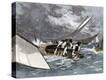 Stretched Canvas Print