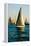 Sailboat in a Lake, Lake Michigan, Chicago, Cook County, Illinois, USA-null-Framed Stretched Canvas