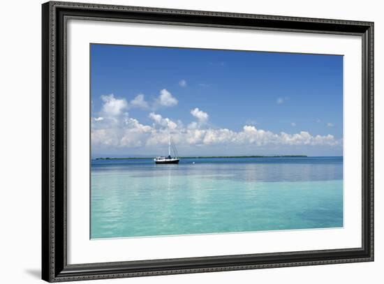 Sailboat in Clear Caribbean Sea, Southwater Cay, Stann Creek, Belize-Cindy Miller Hopkins-Framed Photographic Print