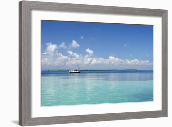 Sailboat in Clear Caribbean Sea, Southwater Cay, Stann Creek, Belize-Cindy Miller Hopkins-Framed Photographic Print