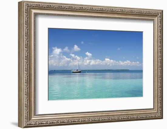 Sailboat in Clear Caribbean Sea, Southwater Cay, Stann Creek, Belize-Cindy Miller Hopkins-Framed Photographic Print