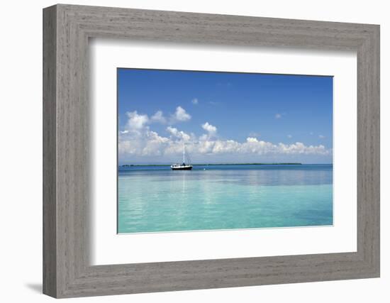 Sailboat in Clear Caribbean Sea, Southwater Cay, Stann Creek, Belize-Cindy Miller Hopkins-Framed Photographic Print