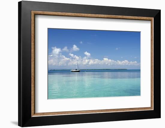 Sailboat in Clear Caribbean Sea, Southwater Cay, Stann Creek, Belize-Cindy Miller Hopkins-Framed Photographic Print