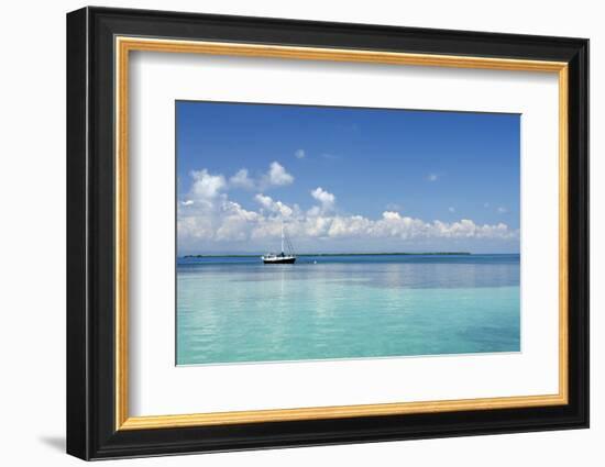 Sailboat in Clear Caribbean Sea, Southwater Cay, Stann Creek, Belize-Cindy Miller Hopkins-Framed Photographic Print