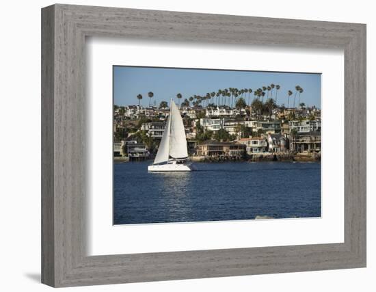 Sailboat in the Pacific Ocean, Newport Beach, Orange County, California, USA-Panoramic Images-Framed Photographic Print