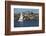 Sailboat in the Pacific Ocean, Newport Beach, Orange County, California, USA-Panoramic Images-Framed Photographic Print