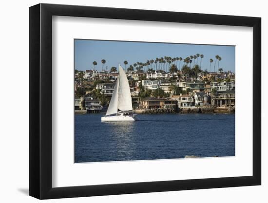 Sailboat in the Pacific Ocean, Newport Beach, Orange County, California, USA-Panoramic Images-Framed Photographic Print